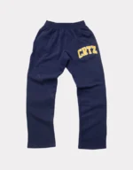 Corteiz Crtz Dropout Jogger Marine (3)